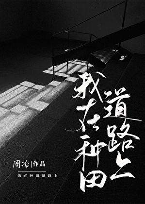 我在种田道路上