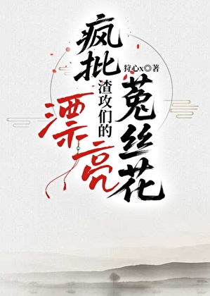 疯批渣攻们的漂亮菟丝花