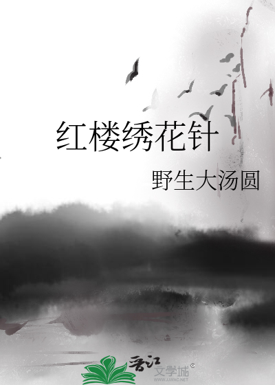 红楼绣花针