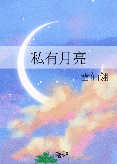 私有月亮