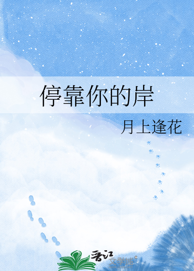 停靠你的岸