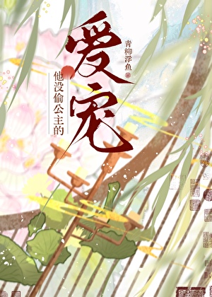 公主与贼